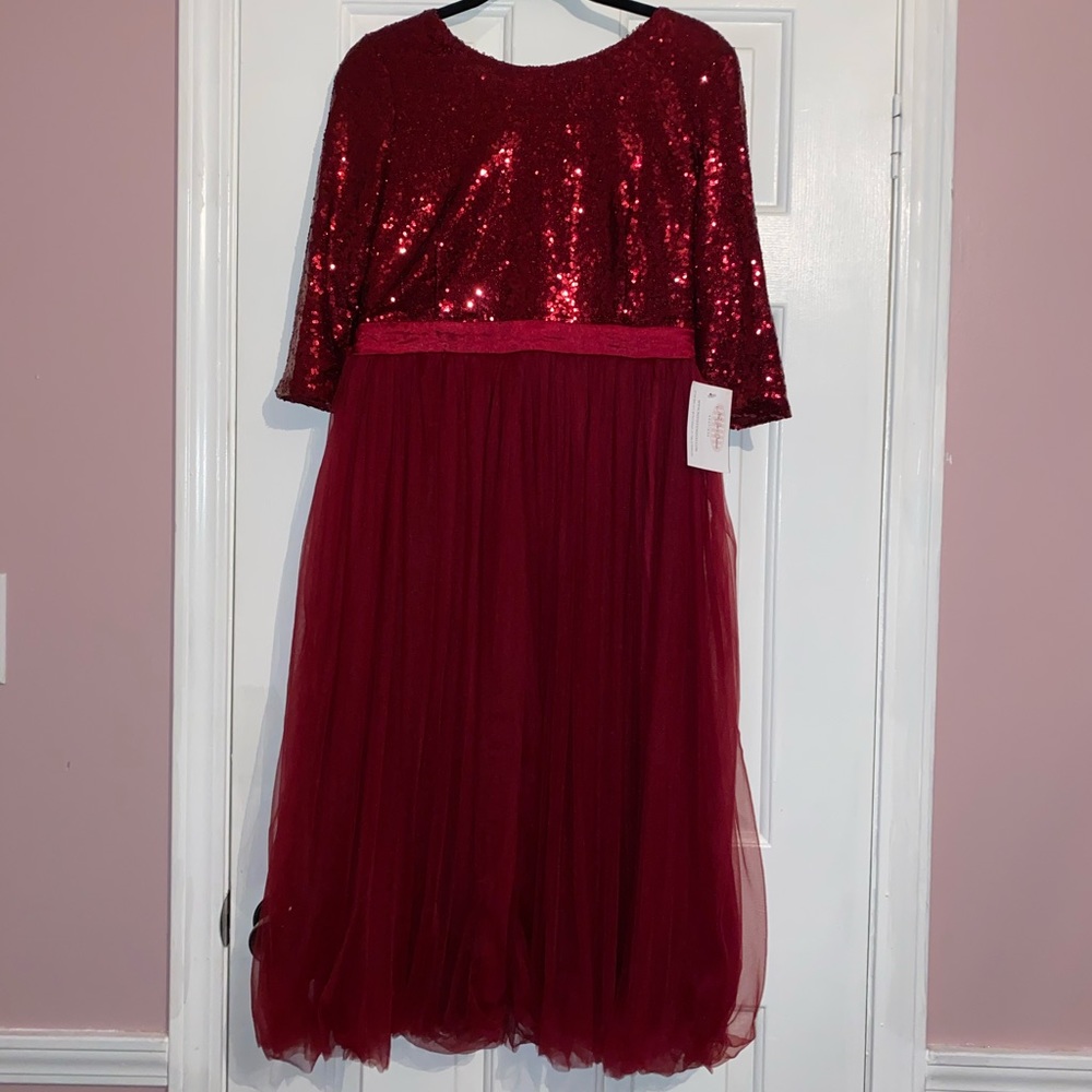 Brand new never worn sequin/tulle dress!